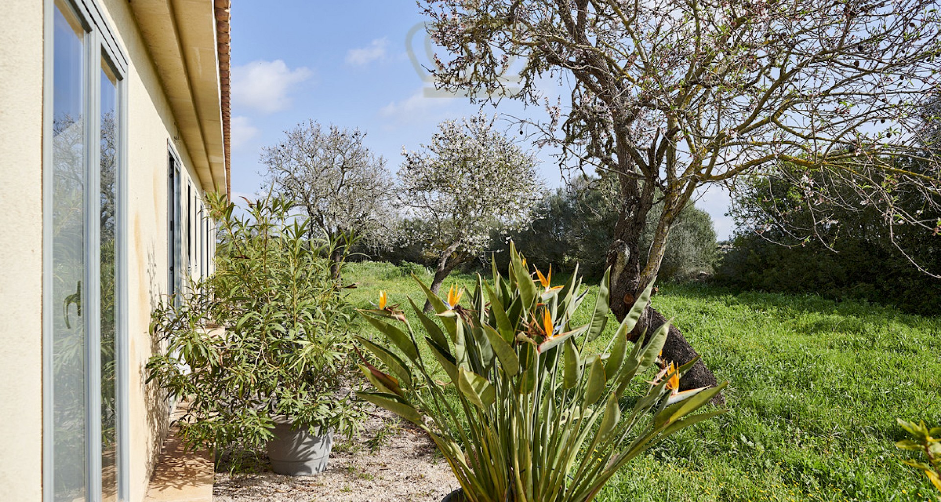 KROHN & LUEDEMANN Landhaus im Bungalow Stil mit großem Pool in Campos 